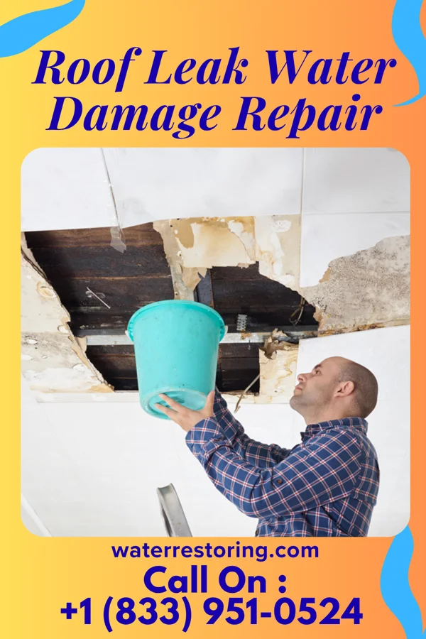 Roof Leak Water Damage Repair in Raymond, KS